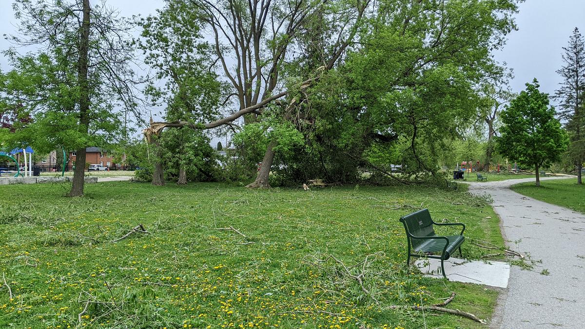 Most Peterborough parks remain closed after May 21 wind storm