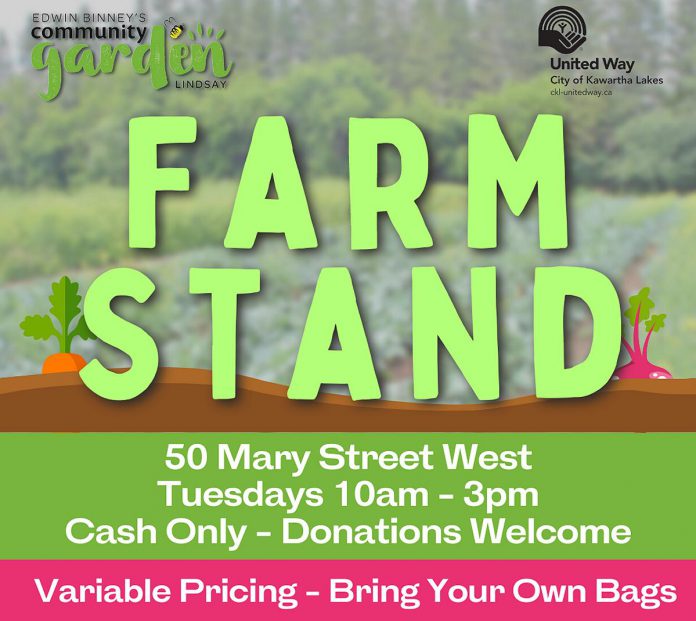 Beginning July 26, 2022, the United Way for the City of Kawartha Lakes will offer a weekly farm stand on Tuesdays Edwin Binney's Community Garden in Lindsay, where residents can buy produce grown in the garden. (Graphic courtesy of United Way for the City of Kawartha Lakes)