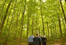 This summer, Kawartha Conservation is offering three guided nature walks at Ken Reid Conservation Area north of Lindsay (pictured), as well as walks at Pigeon River Headwaters Conservation Area, Windy Ridge Conservation Area, and Durham East Cross Forest. (Photo courtesy of Kawartha Conservation)