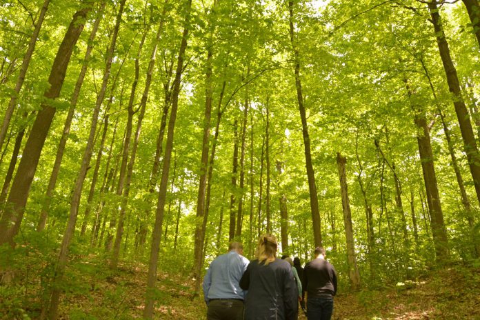 This summer, Kawartha Conservation is offering three guided nature walks at Ken Reid Conservation Area north of Lindsay (pictured), as well as walks at Pigeon River Headwaters Conservation Area, Windy Ridge Conservation Area, and Durham East Cross Forest. (Photo courtesy of Kawartha Conservation)