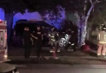 The driver of this vehicle that crashed into a tree on the front lawn of a Peterborough home on July 28, 2022 is facing multiple charges. (kawarthaNOW screenshot of video by David Post / Twitter)