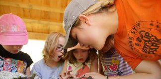 Through programming that reaches over 10,000 children each year, working with 700-plus businesses, and services that have already supported 40 per cent of all Peterborough homes, Peterborough GreenUP has been the leading environmental charity in the Kawarthas region for 30 years. Pictured are a group of campers studying wetland habitat at an Earth Adventures summer camp at GreenUP Ecology Park. (Photo: Peterborough GreenUP)