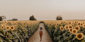 Ursula Kressibucher at her first sunflower farm in Beaverton, called The Sunflower Farm, which she opened in 2020. Buoyed by the success of that operation, the 29-year-old entrepreneur has also opened The Little Sunflower Farm in Lindsay. (Photo: Kailey Jane Photography)