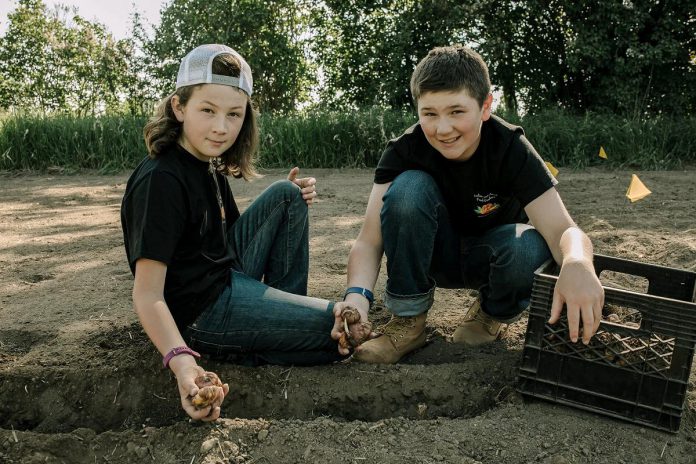 Kevin Cornish and Janet Dawson's sons Liam and Lucas are actively involved in all farm activities and, during the pandemic, began growing and selling fresh-cut flowers. (Photo courtesy of Cornish family)