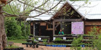 Vern Bastable, director of GreenUP Ecology Park and landscape programs, at the park's Native Plant & Tree Nursery at 1899 Ashburnham Drive in Peterborough. (Photo: GreenUP / Facebook)