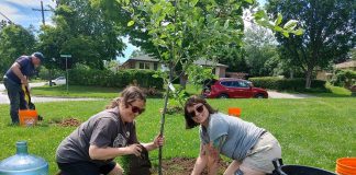 Planting fruit trees and other edible infrastructure in local neighbourhood parks can invite biodiversity and people alike to visit. Until recently, the main feature at Dominion Park in Peterborough (pictured here) was a play structure. Now there are also apple trees, and soon there will also be an assortment of berry bushes that flora, fauna, and people will benefit from. (Photo: GreenUP)