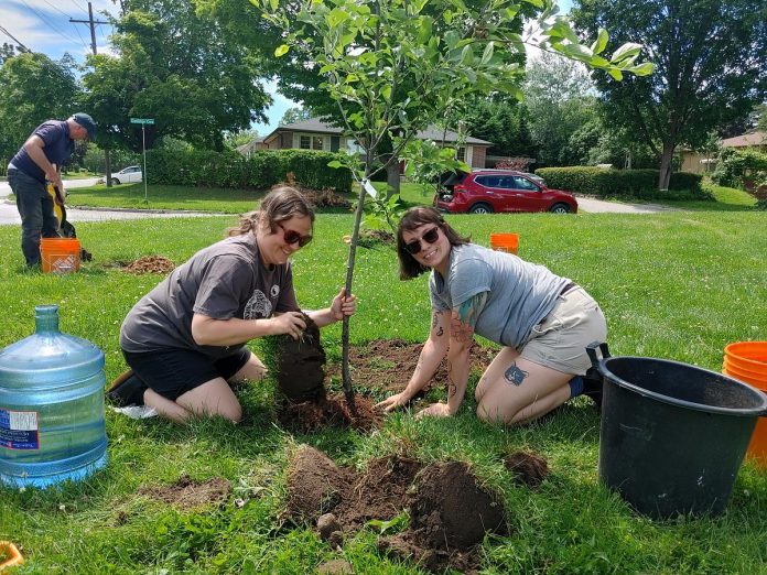 Planting fruit trees and other edible infrastructure in local neighbourhood parks can invite biodiversity and people alike to visit. Until recently, the main feature at Dominion Park in Peterborough (pictured here) was a play structure. Now there are also apple trees, and soon there will also be an assortment of berry bushes that flora, fauna, and people will benefit from. (Photo: GreenUP)