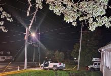 The driver of this pickup truck collided with a hydro pole just outside Lakefield on September 25, 2022, knocking out power to around 4,000 area residents. (Police-supplied photo)