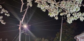 The driver of this pickup truck collided with a hydro pole just outside Lakefield on September 25, 2022, knocking out power to around 4,000 area residents. (Police-supplied photo)