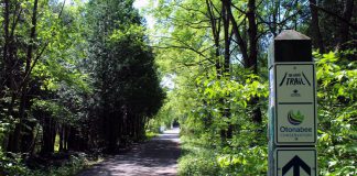 The Jackson Creek Trail in Peterborough is part The Great Trail (formerly called the Trans Canada Trail). The portion of the trail owned by Otonabee Conservation from Jackson Park to Ackison Road will be closed for upgrades from October 11 to December 16, 2022. (Photo: Karen Halley / Otonabee Conservation)