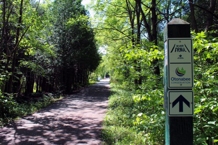 The Jackson Creek Trail in Peterborough is part The Great Trail (formerly called the Trans Canada Trail). The portion of the trail owned by Otonabee Conservation from Jackson Park to Ackison Road will be closed for upgrades from October 11 to December 16, 2022. (Photo: Karen Halley / Otonabee Conservation)