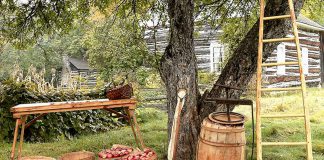 There will be lots of apples (including a pie-eating contest) during Applefest at Lang Pioneer Village Museum in Keene on October 2, 2022, as well as historic demonstrations, military drill and marching demonstrations, horse-drawn wagon rides, live music, and activities for the kids. (Photo: Larry Keeley)