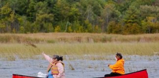 A screenshot from the short film "Mnoomin: Gift of the Creator" about the first Mnoominkewin gathering in 2020 to celebrate nnoomin (wild rice) and Indigenous food sovereignty. The 2022 gathering takes place on Saturday, September 24 at Lance Woods Park in Curve Lake First Nation.