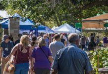 Crowds at the Purple Onion Festival, an annual harvest festival celebrating the local economy including local food, in Peterborough's Millennium Park in 2017. (Photo: Peterborough Downtown Business Improvement Area)