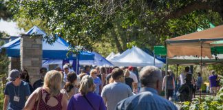 Crowds at the Purple Onion Festival, an annual harvest festival celebrating the local economy including local food, in Peterborough's Millennium Park in 2017. (Photo: Peterborough Downtown Business Improvement Area)