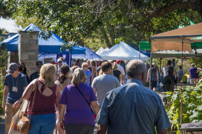 Crowds at the Purple Onion Festival, an annual harvest festival celebrating the local economy including local food, in Peterborough's Millennium Park in 2017. (Photo: Peterborough Downtown Business Improvement Area)