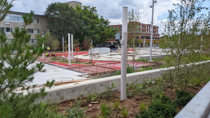 Workers at the urban park near the intersection of Charlotte and Aylmer streets in downtown Peterborough on September 13, 2022. (Photo: Bruce Head / kawarthaNOW)