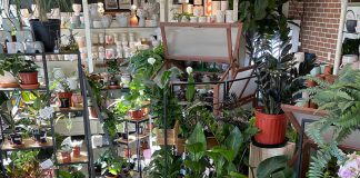 Located at 431 George Street North in downtown Peterborough, Tiny Greens offers a huge selection of plants, pots, arrangements, and accessories available in store and online with in-store pickup. (Photo courtesy of Tiny Greens)