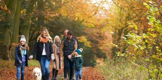 With increasing transmission of COVID-19 in the Peterborough region, Peterborough Public Health is encouraging residents to take precautions this Thanksgiving weekend. Try to gather outdoors or in areas that are well ventilated. People who are at higher risk for complications related to COVID-19 should wear a mask for all interactions with those outside of their household, avoid indoor social gatherings, and avoid attendance at high-risk settings. (Stock photo)