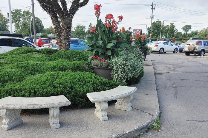 Parking lots are static, but they can be filled with life. Installing biodiverse gardens can improve the curb appeal of lots, increase wildlife, and can reduce physiological stress by diverting your attention from the frustration of parking. (Photo:: GreenUP)