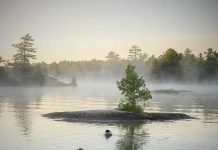 Henry Rozema's photo of a pair of loons on a misty lake was our top post on Instagram for September 2022. (Photo: Henry Rozem @hjrozemaphotography / Instagram)