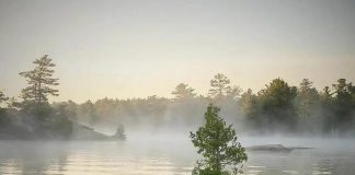 Henry Rozema's photo of a pair of loons on a misty lake was our top post on Instagram for September 2022. (Photo: Henry Rozem @hjrozemaphotography / Instagram)