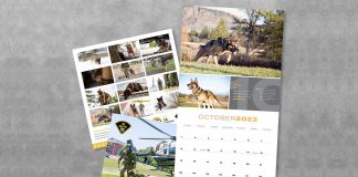 All proceeds from the sale of the 2023 OPP Canine Unit calendar go to the OPP Youth Foundation and the Friends of The OPP Museum. The 2022 calendar raised more than $42,900 for the two charitable organizations. (OPP-supplied photo)