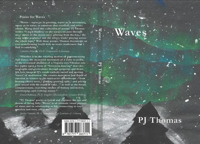 The front and back cover of "Waves" by PJ Thomas. Thomas collaborated with local musician Rick Fines for three of the songs on his 2020 record "Solar Powered Too" and she selected artwork by his daughter Claire for the cover of "Waves." (Artwork: Claire Fines