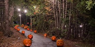 The Grove Theatre in Fenelon Falls is hosting its second annual pumpkin parade from 6 to 9 p.m. on November 1 and 2, 2022. (Photo: The Grove Theatre / Facebook)