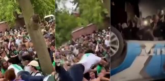 According to Peterborough police, a crowd of around 500 young people gathered in downtown Peterborough on October 1, 2022 coinciding with Trent University's homecoming and Head of the Trent Regatta. (kawarthaNOW screenshots of Twitter videos)