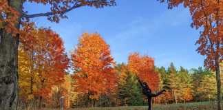 The nine-hole disc golf course at Ken Reid Conservation Area near Lindsay is being designed by Huntsville-based Fluent Disc Sport, who say conservation areas and provincial parks can be ideal homes for disc golf courses since, unlike traditional golf, smooth ground surfaces and manicured fairways are not needed. (Photo: Fluent Disc Sport)