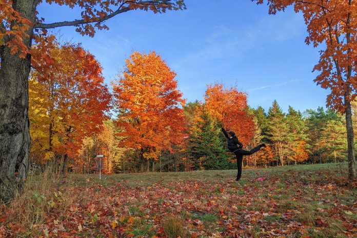 The nine-hole disc golf course at Ken Reid Conservation Area near Lindsay is being designed by Huntsville-based Fluent Disc Sport, who say conservation areas and provincial parks can be ideal homes for disc golf courses since, unlike traditional golf, smooth ground surfaces and manicured fairways are not needed. (Photo: Fluent Disc Sport)