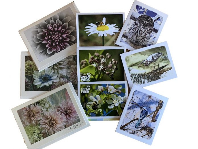 Greeting cards at the GreenUP Store are made of 100% low-impact post-consumer recycled paper and sourced from local makers.  GreenUP also sells GreenUP Ecology Park greeting card, the sales of which  directly support climate action programming. (Photo: Eileen Kimmett)