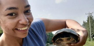 Patricia Wilson, founder of the Peterborough-based Diverse Nature Collective, helping a turtle safely cross the road. With conservation organizations, environmental groups, and non-profit organizations lacking diverse representation, the Diverse Nature Collective has created its own space for BIPOC voices in the Kawarthas to thrive and be part of the environmental conversation. (Photo: Patricia Wilson)