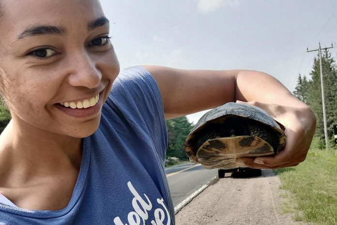 Patricia Wilson, founder of the Peterborough-based Diverse Nature Collective, helping a turtle safely cross the road. With conservation organizations, environmental groups, and non-profit organizations lacking diverse representation, the Diverse Nature Collective has created its own space for BIPOC voices in the Kawarthas to thrive and be part of the environmental conversation. (Photo: Patricia Wilson)
