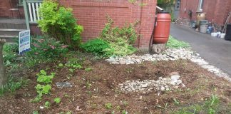 Come springtime, rain barrels can work in tandem with a rain garden to provide you with curb appeal, vegetable growing capabilities, and reduced risk of flooding. What's not to like? If you already have a rain barrel, a few simple steps to prepare it for winter storage will ensure your rain barrel is ready to do its job again next year. (Photo: GreenUP)