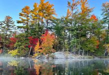 This photo of a rocky shore on Lower Buckhorn Lake was our top post on Instagram for October 2022. (Photo: Memtyme @memtyme / Instagram)