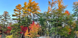 This photo of a rocky shore on Lower Buckhorn Lake was our top post on Instagram for October 2022. (Photo: Memtyme @memtyme / Instagram)