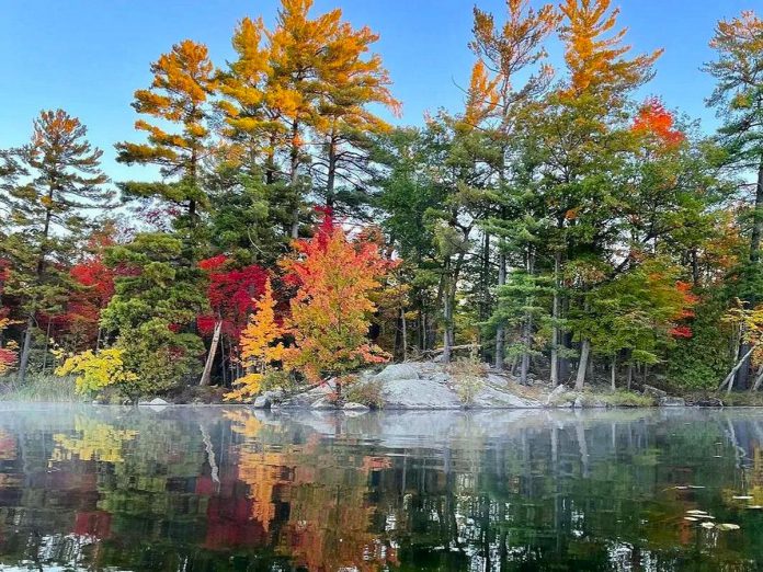 This photo of a rocky shore on Lower Buckhorn Lake was our top post on Instagram for October 2022. (Photo: Memtyme @memtyme / Instagram)