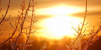 A late fall sunrise with frosted branches in the foreground. (Stock photo)