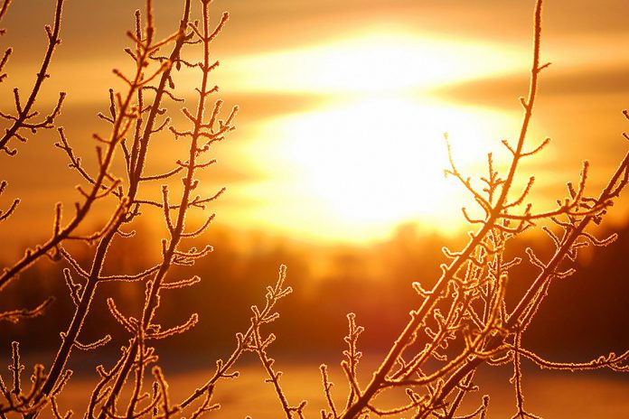 A late fall sunrise with frosted branches in the foreground. (Stock photo)