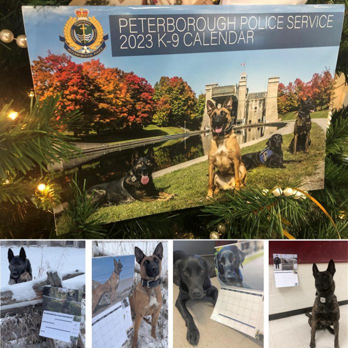 The Peterborough Police Service's 2023 K9 calendar features photos of all three police service dogs on the K9 unit (Isaac, Gryphon, and Mag), with their human handlers (police constables Bob Cowie and Dillon Wentworth), and facility dog Pixie and her handler Alice Czitrom. (Photos: Peterborough Police Service)