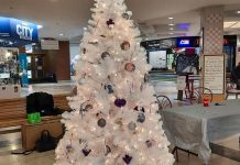 Since 2019, Gail Parry has overseen the placing and decoration of a memorial Christmas tree in Peterborough Square to remember people who have been lost to substance use. She lost her own daughter Jody in August 2018 from health complications related to her substance use. This year's tree goes up November 30, 2022, and will remain on display until the week before New Year's Eve. (Photo: PARN – Your Community AIDS Resource Network)