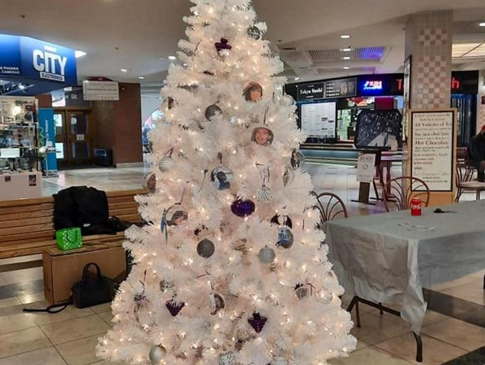 Since 2019, Gail Parry has overseen the placing and decoration of a memorial Christmas tree in Peterborough Square to remember people who have been lost to substance use. She lost her own daughter Jody in August 2018 from health complications related to her substance use. This year's tree goes up November 30, 2022, and will remain on display until the week before New Year's Eve. (Photo: PARN – Your Community AIDS Resource Network)