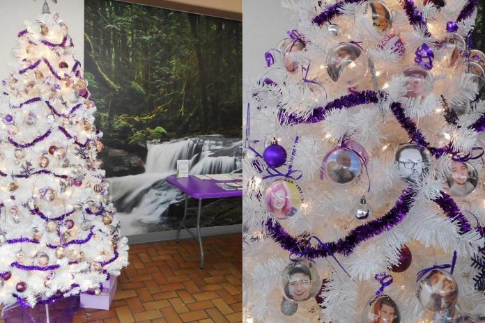 Gail Parry was inspired for the Christmas memorial tree at Peterborough Square by another member of Moms Stop The Harm in Powell River, British Columbia (pictured is a past memorial tree in the Town Centre Mall there). Other communities across Canada also put up Christmas memorial trees every year to raise awareness of the opioid crisis and to honour the memory of loved ones during a difficult time of the year. (Photos:  Moms Stop The Harm / Facebook)