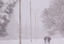 Heavy snow and damaging wind gusts up to 120 km/h on December 23, 2022 resulted in power outages in the Cobourg and Colborne areas. (Photo: Lakefront Utility Services Inc. / Facebook)