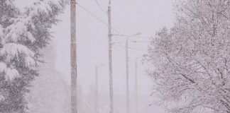 Heavy snow and damaging wind gusts up to 120 km/h on December 23, 2022 resulted in power outages in the Cobourg and Colborne areas. (Photo: Lakefront Utility Services Inc. / Facebook)