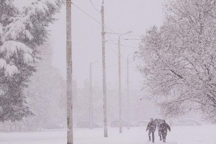 Heavy snow and damaging wind gusts up to 120 km/h on December 23, 2022 resulted in power outages in the Cobourg and Colborne areas. (Photo: Lakefront Utility Services Inc. / Facebook)