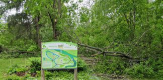 Trails and paths at Ecology Park in Peterborough were made inaccessible for persons using mobility devices due to fallen trees and branches from the May 2022 derecho storm. Climate change can induce extreme weather events more frequently, disproportionately affecting the day-to-day lives of the 22 per cent of Canadians who live with a disability. (Photo: Bruce Head / kawarthaNOW)