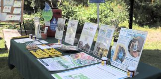 Peterborough GreenUP offers a wide range of inspiring community programs that help neighborhoods, businesses, and schools mitigate their impact on the environment. GreenUP works to better understand the environmental impact of its programs through the collection and analysis of quantitative and qualitative data. (Photo: Jessica Todd / GreenUP)